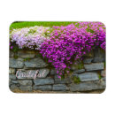 Buscar flojo imanes Floral