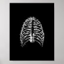 Buscar esternón Anatomía