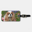 Buscar cavalier etiquetas para maletas Cachorro