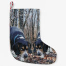 Buscar beagles calcetines navideños Perro