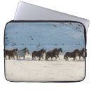 Buscar escondite fundas Rancho