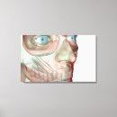 Buscar rostro humano posters Cabeza humana