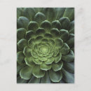 Buscar mundo natural postales Verde