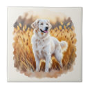 Buscar perro de caza azulejos Perros