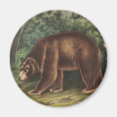 Buscar ursus Vida silvestre