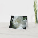 Buscar gardenias tarjetas Naturaleza
