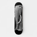 Buscar majestuoso tablas de skate General y unisex
