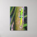 Buscar lagarto lienzos Gecko