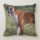 Buscar perros del boxeador cojines Sacudida y pam langrish