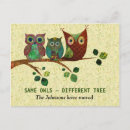 Buscar búhos coloridos postales Para ellos