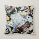 Buscar crab cojines Vida marina