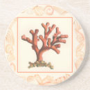 Buscar concha posavasos Mar