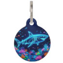Buscar animales marinos collares Playa