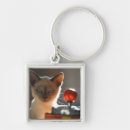 Buscar gatito siamés accesorios Francia