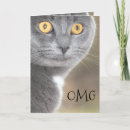 Buscar omg tarjetas Gatito