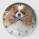 Buscar cavalier king charles spaniel relojes de pared Animal