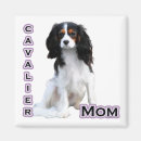 Buscar cavidades imanes Cavalier