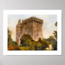 Buscar corcho posters General y unisex