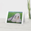 Buscar perro inglés viejo del pastor tarjetas Saludo