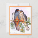 Buscar peregrinos postales Ilustracion