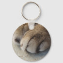 Buscar paw llaveros Gatito