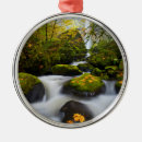 Buscar orégano adornos Verde