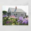 Buscar línea de ropa postales Lavandería