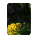 Buscar abeja imanes Naturaleza