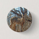 Buscar virginianus accesorios Vida silvestre