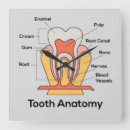 Buscar para los dentistas relojes de pared General y unisex