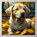 Buscar labrador retriever posters Cachorro
