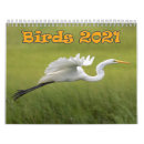 Buscar aves calendarios Animales