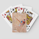 Buscar faisán barajas de cartas Aves
