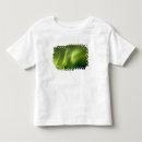 Buscar sherry camisetas Aurora boreal