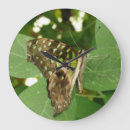 Buscar mariposa verde relojes de pared Mariposas
