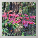Buscar hojas de otoño posters Naturaleza