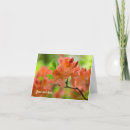 Buscar rododendro tarjetas Floral