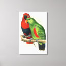 Buscar loros lienzos Animales