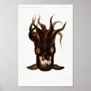 Buscar calamar posters Vintage