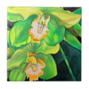 Buscar orquídeas azulejos Botánica