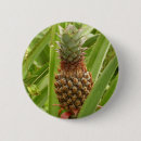 Buscar frutas tropicales chapas Para todos