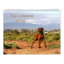 Buscar león calendarios Suráfrica