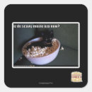 Buscar film pegatinas Puedo tener cheezburger