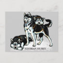 Buscar pedigrí postales Canina