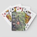 Buscar mariquitas barajas de cartas Naturaleza