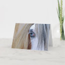 Buscar gitano tarjetas Vanner
