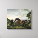 Buscar caballo blanco lienzos Paisaje