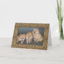 Buscar perro pomeranian tarjetas Perrito