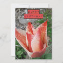 Buscar tulipe tarjetas Floral