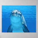 Buscar nadada posters Azul